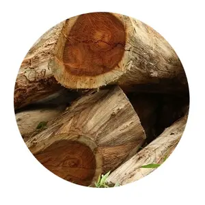 Rosewood óleo essencial a granel fornecedor da índia madeira de rosa óleo ao atacado preço da índia