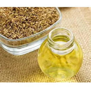 Meilleure qualité Natura & Pure Ajwain huile essentielle disponible à un prix raisonnable disponible pour l'arôme et l'industrie alimentaire