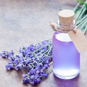 Hidrosol de lavanda orgánico puro, venta al por mayor, 100% - Product Image 2