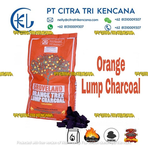 Sacs en charbon de bois de grande capacité d'absorption, gril d'extérieur pour barbecue, GRILL au charbon de bois dur, pour fruits et bois - Product Image 6