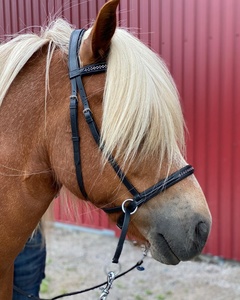 Brida anatómica de cuero Fancy Stitch para Horse Dressage Último estilo de diseño - Product Image 2