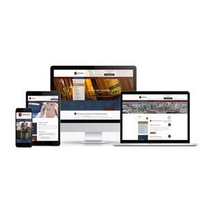 WordPress Website Development Company in India | Award Winning WordPress Website Design Development Services by Webroot Infosoft - Product Image 3