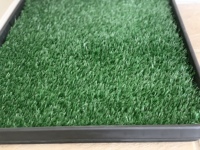 Nouveau design 2 pièces vente chaude chien chat animal pipi tapis d'herbe chiot tapis de formation pour animaux de compagnie chien formation pot formateur toilette