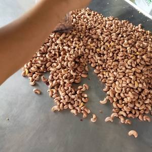 Prix des noix de cajou biologiques de qualité supérieure délicieuses pour les noix de cajou grillées produites au Vietnam - Product Image 2