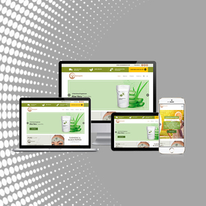 AngularJS-Desarrollo Web y aplicación móvil, alta calidad, asequible, en América del Norte y la India - Product Image 5