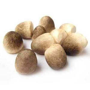 เห็ดหลินจือเค็ม/เห็ดหลินจือกระป๋องจากเวียดนาม - Product Image 2