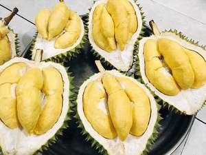 DURIAN DULCE CONGELADO PREMIUM DE VIETNAM | FRUTA TROPICAL NATURAL PARA EXPORTACIÓN Y SUMINISTRO OEM POR VIET DELTA | MS. LILY - Product Image 3