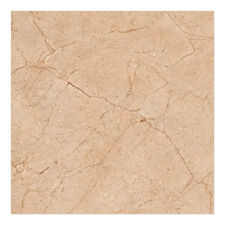 Carreaux de porcelaine polie de couleur beige foncé de qualité A + Taille 60x60 600x600mm Carreaux de sol émaillés en Inde