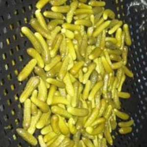 Cornichons conservés à l'acide acétique Légumes infusés au vinaigre - Product Image 1