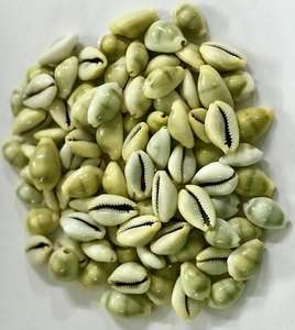 Conchas Marinas Naturales al por Mayor de Vietnam - Product Image 2