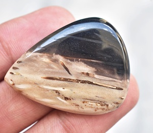 Meilleure qualité!!, qualité supérieure Cabochon de racine de palmier en milieu naturel, pierre précieuse ample, Agate de palmier - Product Image 6