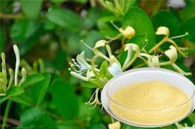 Poudre de Chèvrefeuille 100% Jaune Brun Vietnam 2024 Vietdelta Akina Durée de Conservation 6-12 Mois - Product Image 3