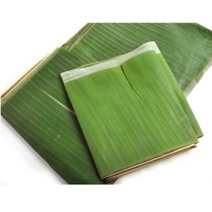 ขนาดใหญ่ราคาถูกใบตองสด/ใบตอง - Product Image 4