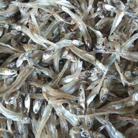 Anchoas Secas de Primera Calidad, Congeladas IQF, Sin Aditivos, a Precio Competitivo - Contacto 0084 989 322 607