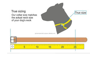 OEM สายจูงสุนัขหนังแท้สายจูงสุนัขสัตว์เลี้ยงและปลอกคอพร้อมหัวเข็มขัดพินทองเหลืองแข็งสําหรับงานหนัก D แหวนปลอกคอสุนัขเย็บเต็ม - Product Image 4