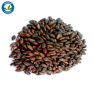 100% Pure Organic Custard Apple Seed Essential Oil for Skin Hair and <b>Pest</b> <b>Control</b> Private Label Bulk Supply Made in India - Product Image 2
