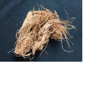 custom made coconut fiber , coir fiber cut in size 6 cm suitable for educational and technical applications