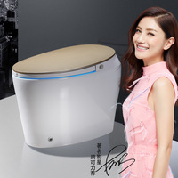 Salle de bain intelligente intelligente électrique une pièce bidet toilette