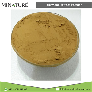 Extracto en polvo de silimarina pura y orgánica, calidad prémium, venta al por mayor, fabricante indio, 100% - Product Image 2