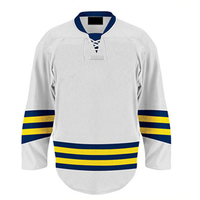 Maillot de hockey sur glace personnalisé, nouveau design, impression par sublimation intégrale, polyester/coton, col en V, sangle en T, vente en gros pour hommes