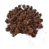 Étoile en fibre de coco pour pot-pourri mélangé avec différentes couleurs et tailles Produit naturel au toucher réel pour la décoration et le parfum