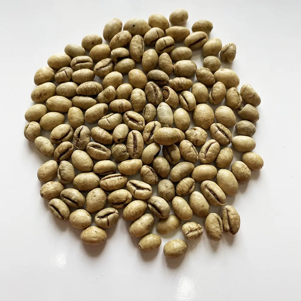 Import arabica coffee bean fresh arabica green coffee beans robusta green beans coffee