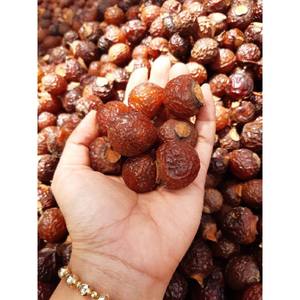 Noix de savon en gros / Noix de savon biologique - Product Image 5