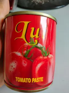 70g Brix 28-30 Hot Break Easy Open Tomato Paste Tomatoes