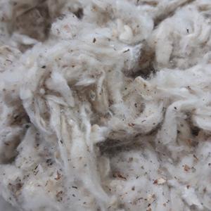 ขยะฝ้ายที่ไม่ฟอกขาว/บัตรลอย (แถบแบน)/lickerin A & B คุณภาพสูงสำหรับการส่งออก (Ms. xavia + 84 333371330) - Product Image 6