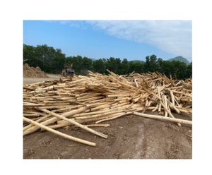 เศษไม้กระถินในเวียดนามส่งออกแบบแห้งสนิทเป็นเมตริกตัน - Product Image 3