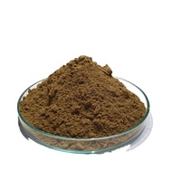 Poudre de bentonite de sodium de qualité industrielle D & B Fournisseur vérifié pour le forage de litière pour chat de fonderie Application de litière pour chat en bentonite