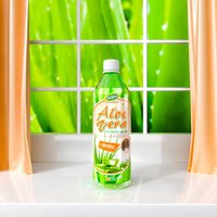 WANA OEM/ODM Productie Vietnam 500ml PET Versgeperste Aloë Vera Drank met Chia Zaden en Fruit Smaak, Gesteriliseerd, Gezond, Laag in Suiker