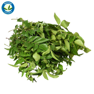 Huile essentielle de feuille de curry Elevate Products Natural Aromas 100% Pure Organic Bulk Quantity Prix de gros Fournisseur et exportateurs - Product Image 3