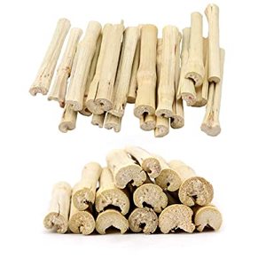 Bâtonnet de bambou doux / Bâtonnet de canne à sucre séché - Jouet à mâcher idéal pour le grincement des dents des animaux de compagnie / /Helen +84374288086 - Product Image 3