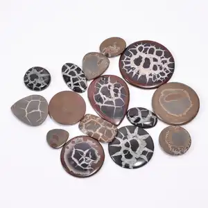 high quality fossil septarian mix shape wholesale cabachons