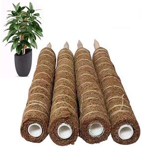 Supports de plantes en forme de totem naturel Enterenprize - Modèle Tp0001 pour plantes grimpantes d'intérieur - Product Image 5