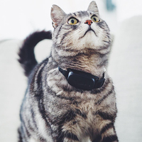 Eview GPS anti-perte pour collier de chien et de chat OEM ODM personnalisé étanche mini localisateur de collier de chien et de chat 2G
