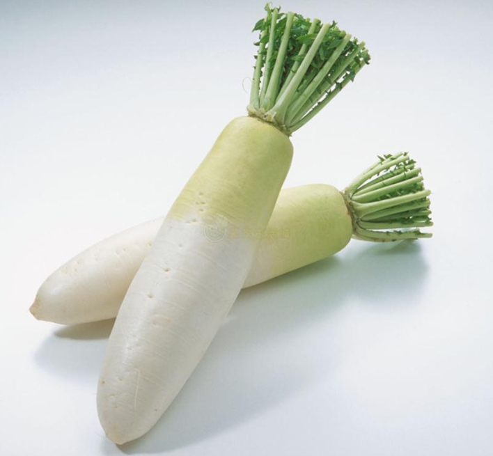 Fresh Radish