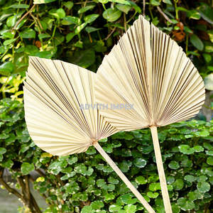 ใบปาล์มแห้งแบบธรรมชาติขนาดใหญ่ของผู้หญิงการตกแต่งวันคริสต์มาสวันแม่วันวาเลนไทน์ของขวัญที่สมบูรณ์แบบขอบคุณประเภทของต้นหญ้า - Product Image 3