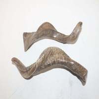 Cuerno de Cabra Natural, Estilo Animal, Material Orgánico, Artículo Coleccionable de Arte, Producto Indio NOORBABA NBI-173