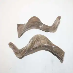 ผลิตภัณฑ์สไตล์เขาแพะธรรมชาติ - Product Image 1