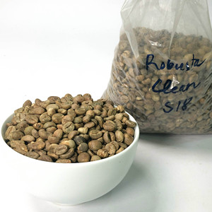 Green <b>Robusta</b> <b>Coffee</b> <b>Beans</b> Bulk Dried for Drinking - Product Image 5
