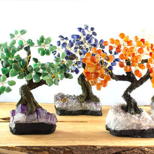 Colección de exhibición de árboles de piedras preciosas de cristal Natural brasileño - Product Image 1