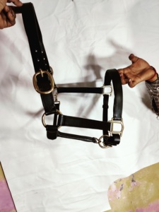 HALTER DE CUERO PARA CABALLO Y PP HALTER PARA EQUITACIÓN ÁRABE INDIA HECHO A PRUEBA DE ÓXIDO COLOR VERDE TAMAÑO PERSONALIZADO DISPONIBLE - Product Image 3