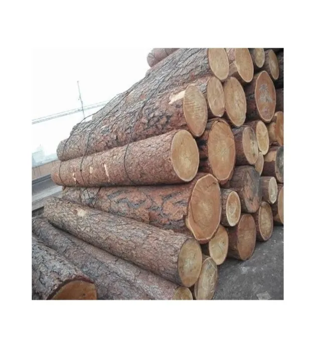 Gesamt verkaufs preis PINE SPRUCE BIRCH OAK ASH LOGS/TIMBER und Eukalyptus holz Holzstämme/Rohholz