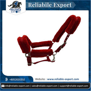 Caballo de moda PP Halter para montar a caballo, calidad prémium, compra a precio de fábrica - Product Image 6