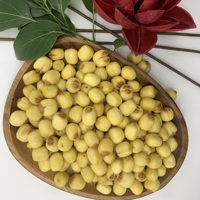 Graine de lotus rôtie savoureuse naturelle de qualité alimentaire Graines de fleurs cultivées au Vietnam