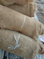 Tapis en fibre de coco 100% naturelle, écologique, emballage en rouleau, origine Vietnam