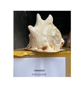 Pendentif en forme de coquille naturelle, fabrication depuis le Vietnam, 100% - Product Image 3