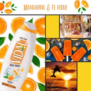 BATH FOAM VIDAL 500 ML FRESH ENERGY TANGERINE AND GREEN TEA - Product Image 5